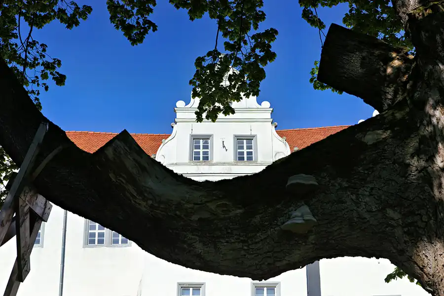 007 | 2025 | Grosskmehlen | Schloss Grosskmehlen | © carsten riede fotografie