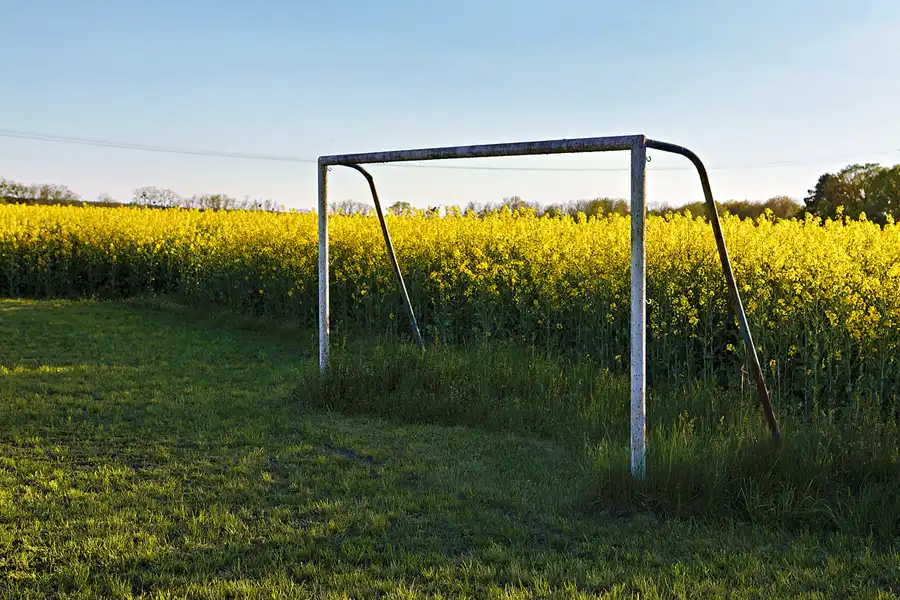 022 | 2025 | Sedlitz | © carsten riede fotografie