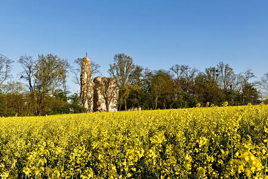 023 | 2025 | Sedlitz | Landmarke Sedlitzer Turm | © carsten riede fotografie