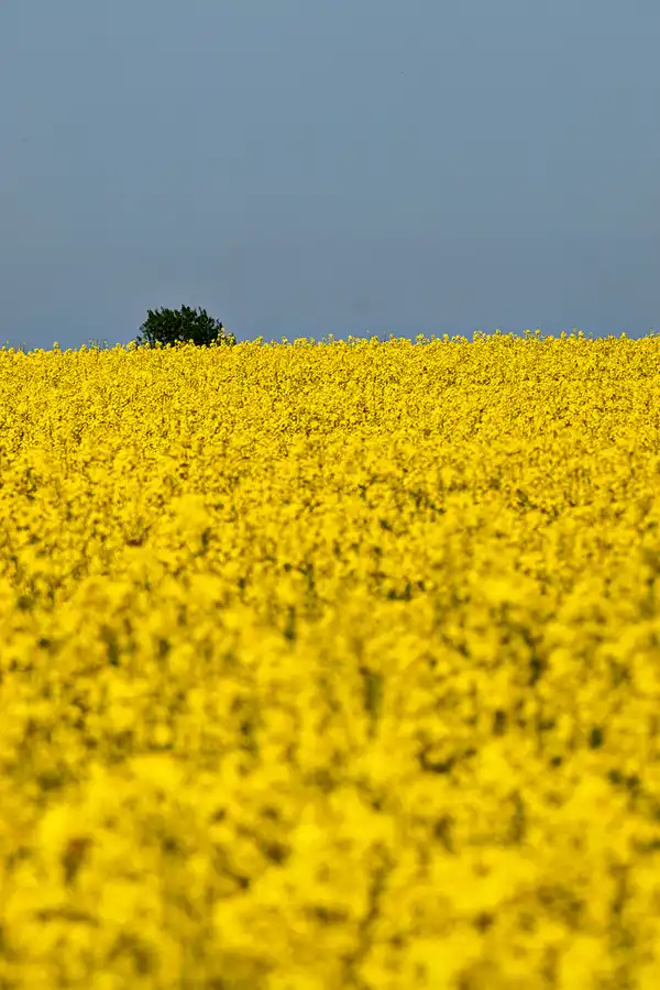 031 | 2025 | Bochow | © carsten riede fotografie