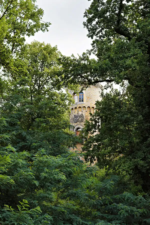 069 | 2025 | Harbke | Turmruine Harbke | © carsten riede fotografie