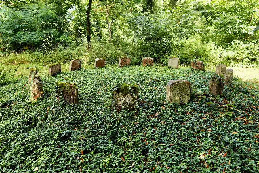 070 | 2025 | Harbke | © carsten riede fotografie