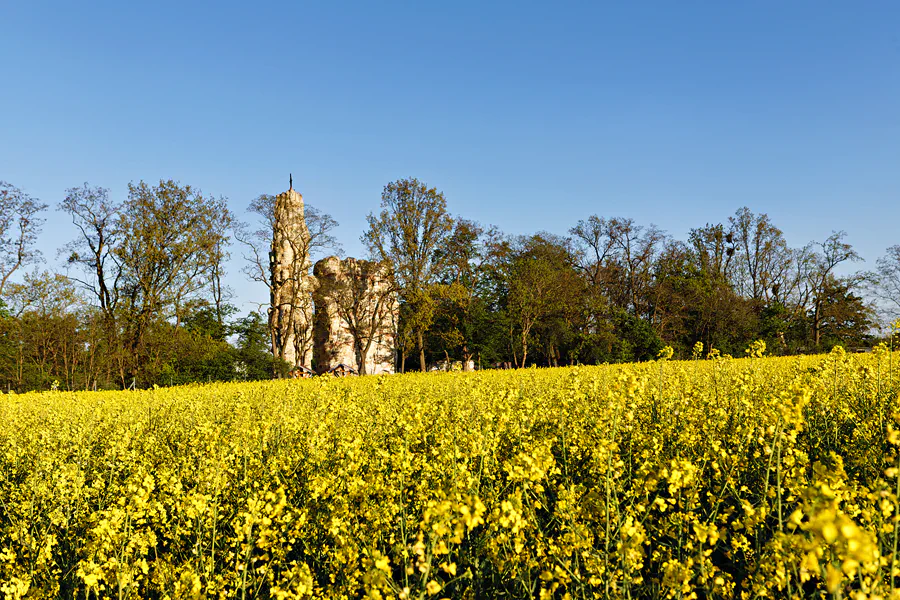 023 | 2025 | Sedlitz | Landmarke Sedlitzer Turm | © carsten riede fotografie