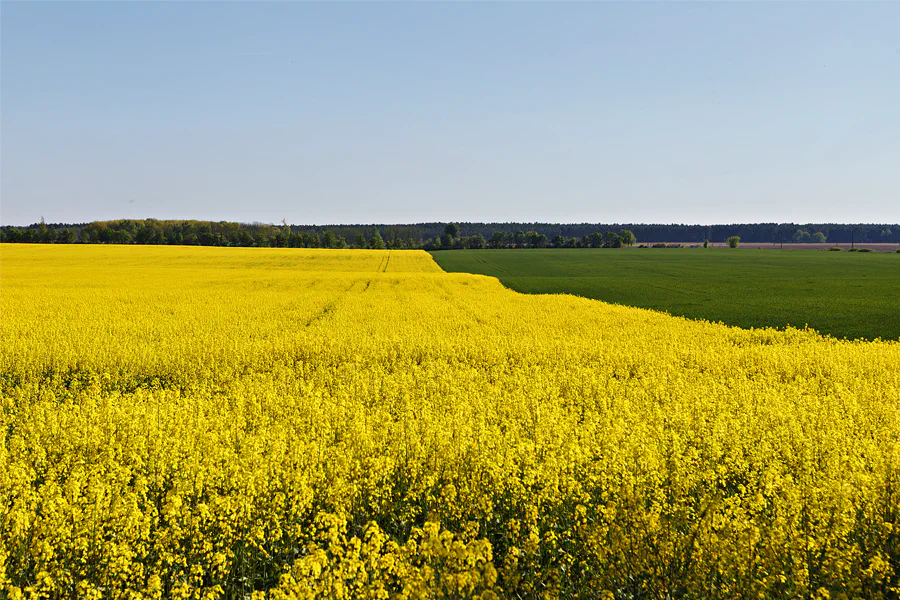 030 | 2025 | Oehna | © carsten riede fotografie