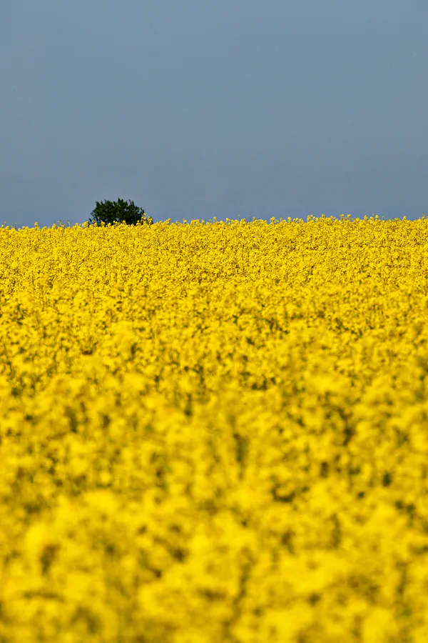 031 | 2025 | Bochow | © carsten riede fotografie