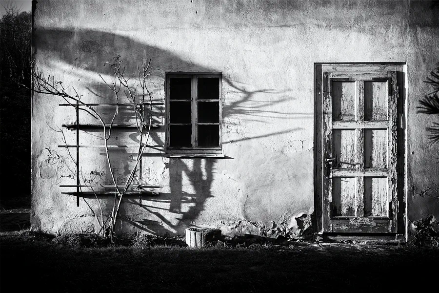 117 | 2025 | Hainewalde | © carsten riede fotografie