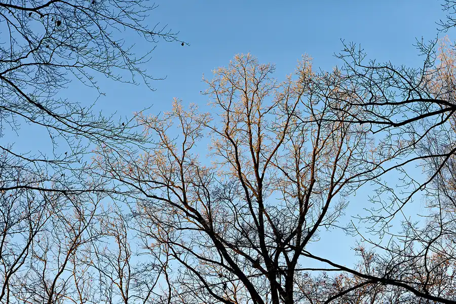 006 | 2025 | Berlin | Obersee-Orankesee-Park | © carsten riede fotografie