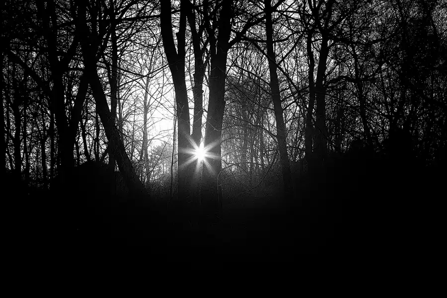 010 | 2025 | Berlin | Obersee-Orankesee-Park | © carsten riede fotografie