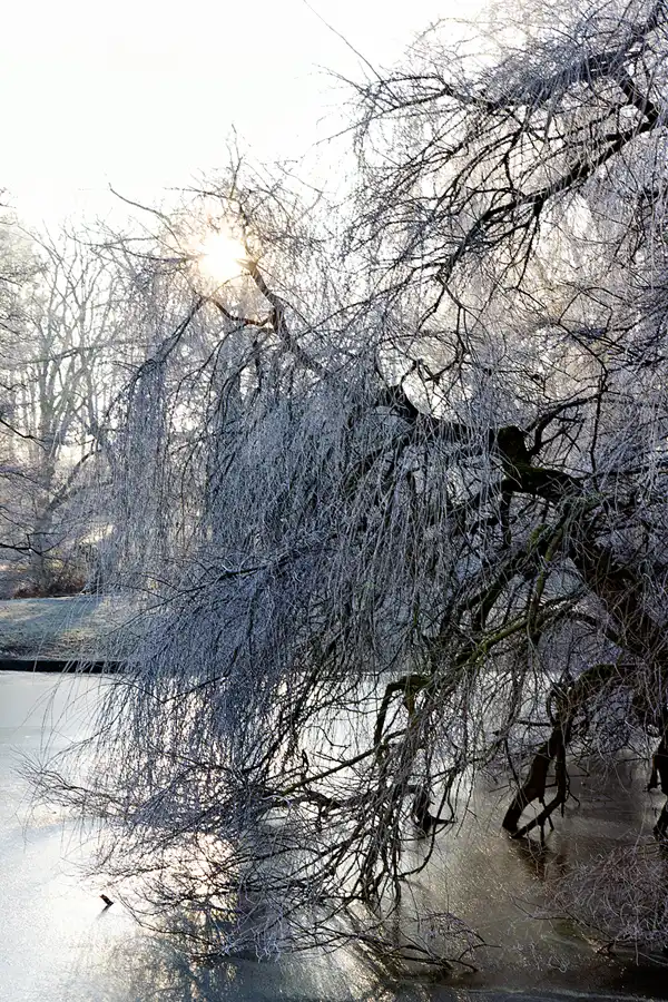 016 | 2025 | Berlin | Obersee-Orankesee-Park | © carsten riede fotografie