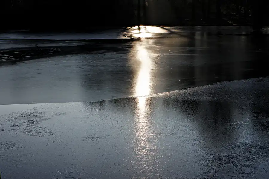 017 | 2025 | Berlin | Obersee-Orankesee-Park | © carsten riede fotografie