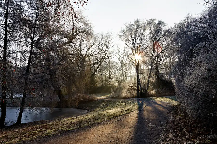 018 | 2025 | Berlin | Obersee-Orankesee-Park | © carsten riede fotografie