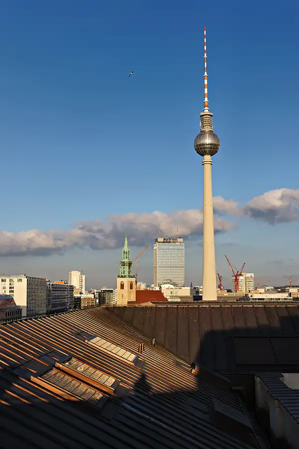 029 | 2025 | Berlin | Blick von der Dachterrasse des Humboldt Forums im Berliner Schloss – Fernsehturm | © carsten riede fotografie