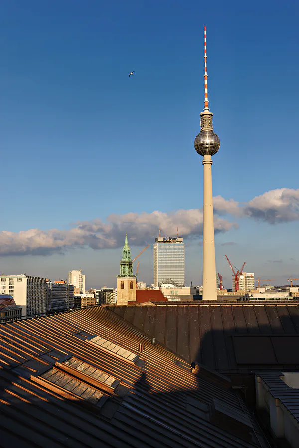 029 | 2025 | Berlin | Blick von der Dachterrasse des Humboldt Forums im Berliner Schloss – Fernsehturm | © carsten riede fotografie