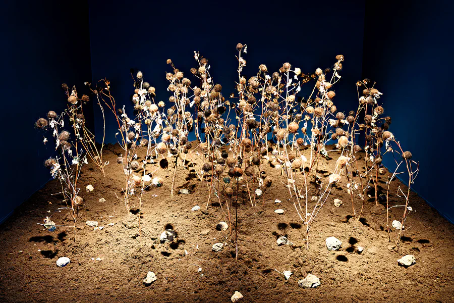 002 | 2025 | Berlin | Sammlung Scharf-Gerstenberg – Ausstellung Böse Blumen | © carsten riede fotografie