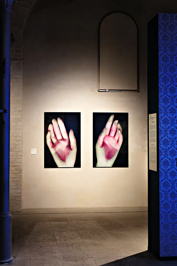 007 | 2025 | Berlin | Sammlung Scharf-Gerstenberg – Ausstellung Böse Blumen | © carsten riede fotografie