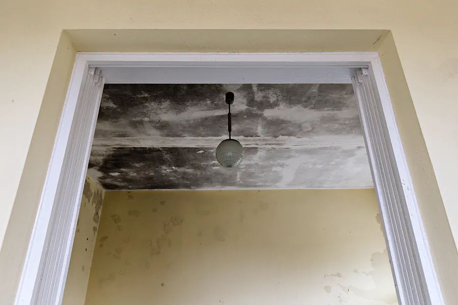 070 | 2025 | Harzgerode | Heilstätte Harzgerode | © carsten riede fotografie