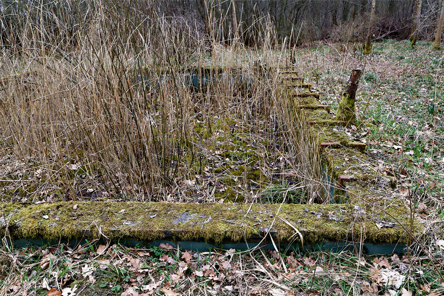 107 | 2025 | Harzgerode | Heilstätte Harzgerode | © carsten riede fotografie