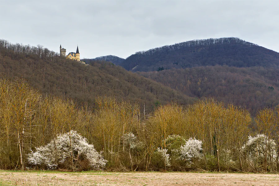 001 | 2025 | Bad Sooden-Allendorf | Schloss Rothestein | © carsten riede fotografie
