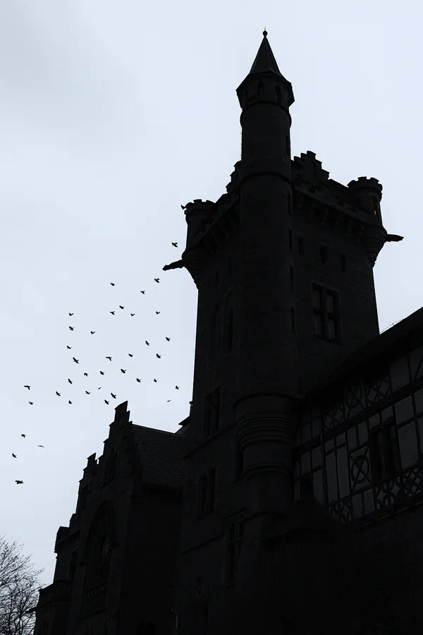 093 | 2025 | Bad Sooden-Allendorf | Schloss Rothestein | © carsten riede fotografie