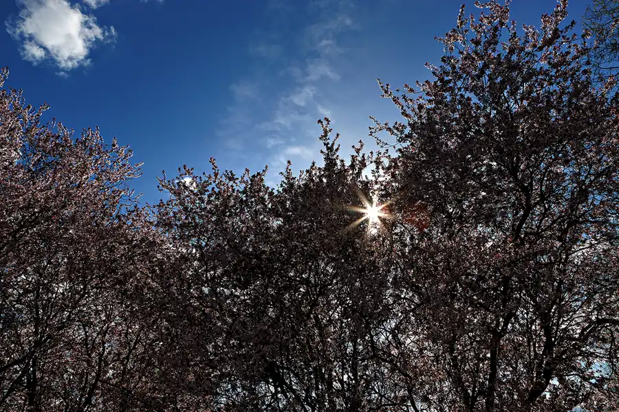 003 | 2025 | Berlin | Gärten der Welt im Erholungspark Marzahn | © carsten riede fotografie