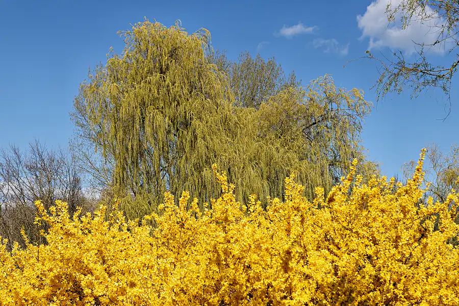 008 | 2025 | Berlin | Gärten der Welt im Erholungspark Marzahn | © carsten riede fotografie