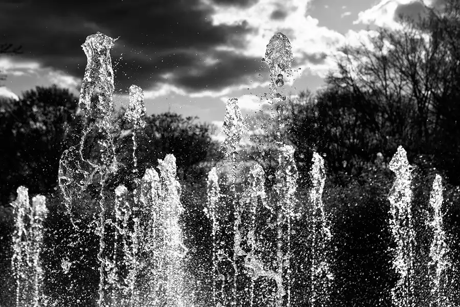 028 | 2025 | Berlin | Gärten der Welt im Erholungspark Marzahn | © carsten riede fotografie