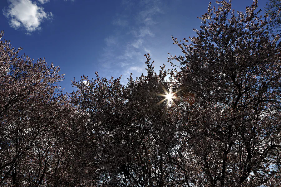 003 | 2025 | Berlin | Gärten der Welt im Erholungspark Marzahn | © carsten riede fotografie