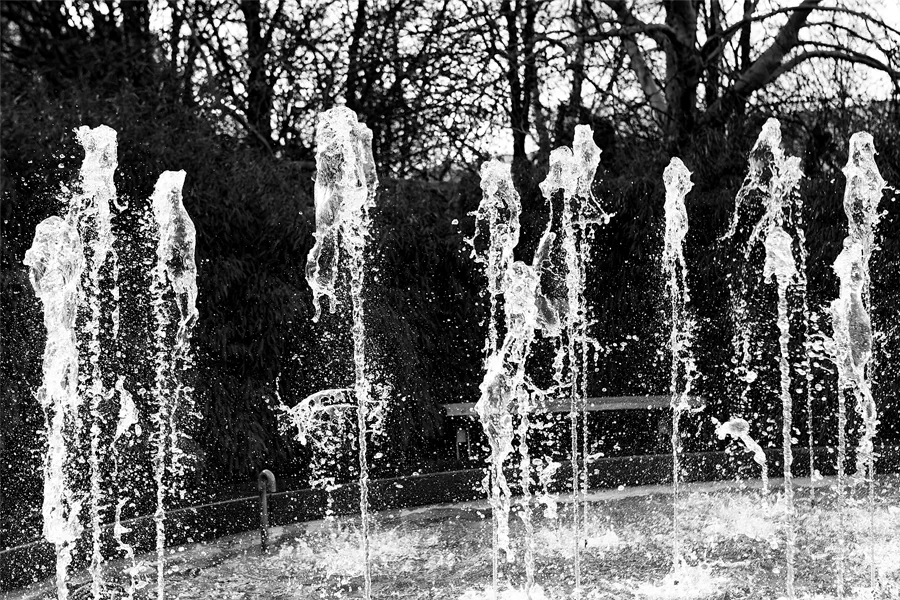027 | 2025 | Berlin | Gärten der Welt im Erholungspark Marzahn | © carsten riede fotografie