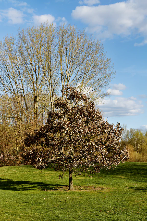 039 | 2025 | Berlin | Gärten der Welt im Erholungspark Marzahn | © carsten riede fotografie