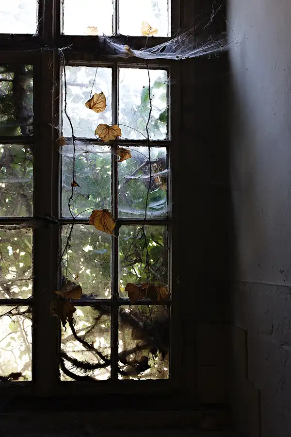 071 | 2025 | Crossen an der Elster | Schloss Crossen | © carsten riede fotografie