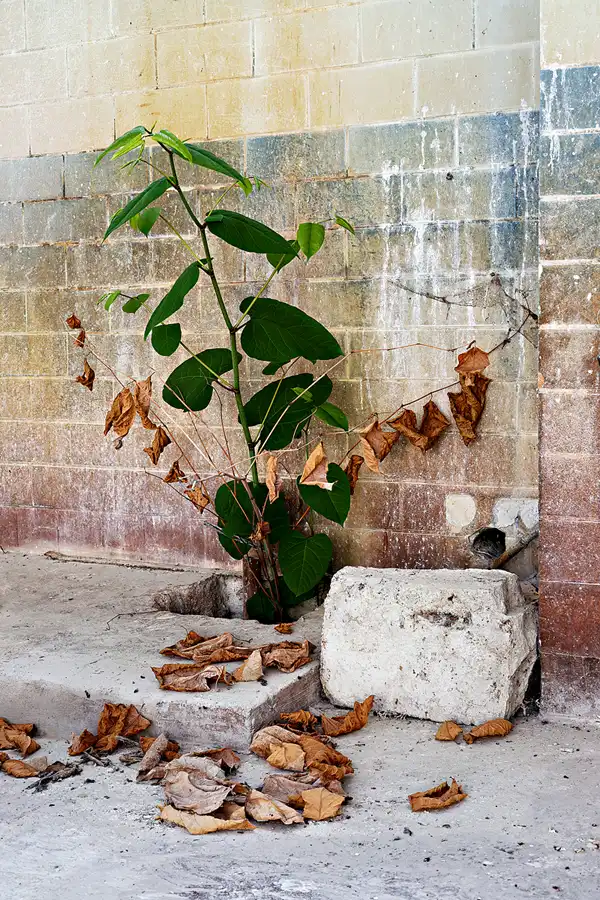 158 | 2025 | Annaburg | Annaburg Porzellan | © carsten riede fotografie