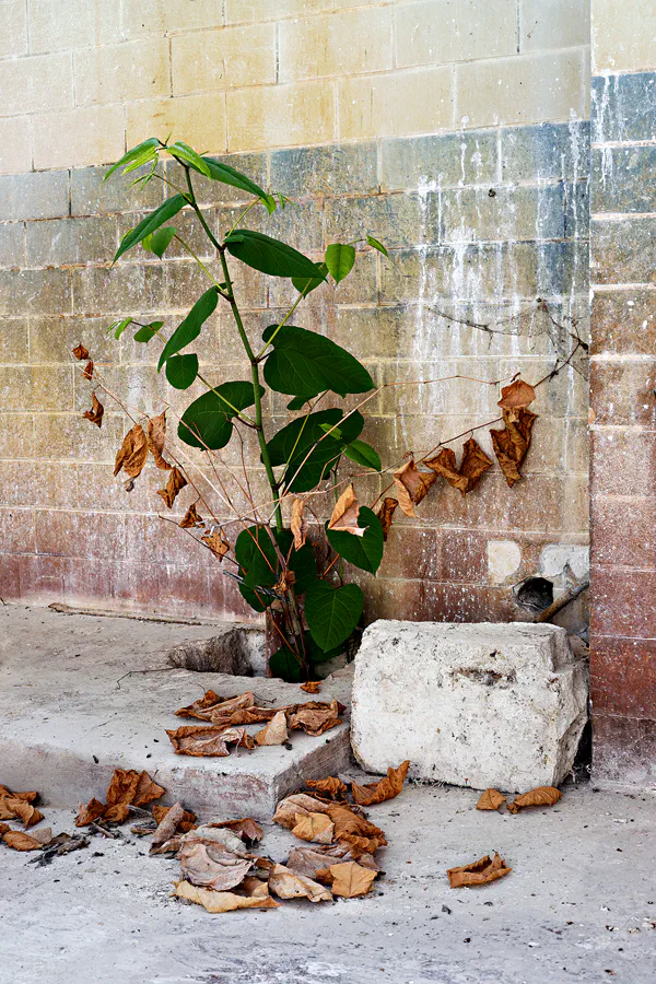 158 | 2025 | Annaburg | Annaburg Porzellan | © carsten riede fotografie