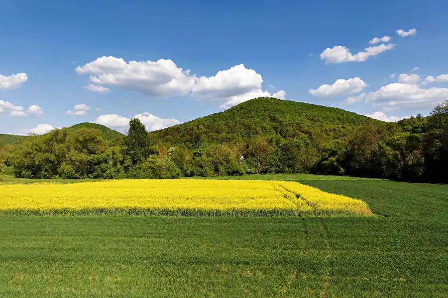 034 | 2025 | Behringersmühle – Ebermannstadt | Fränkische Dampfbahn | © carsten riede fotografie