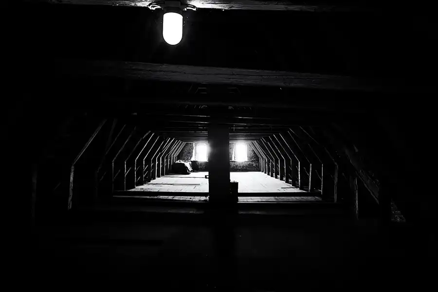 045 | 2025 | Spottrup | Spottrup Borg | © carsten riede fotografie