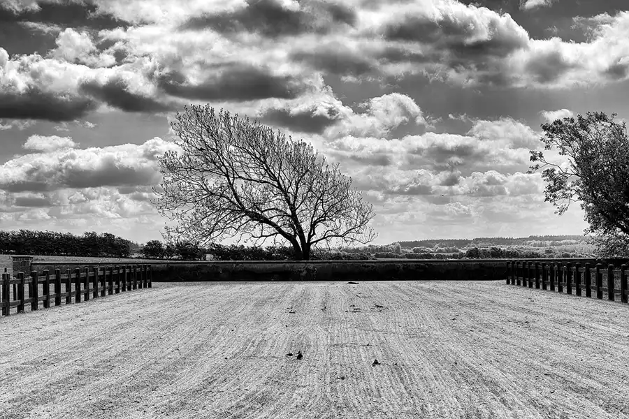 050 | 2025 | Spottrup | © carsten riede fotografie