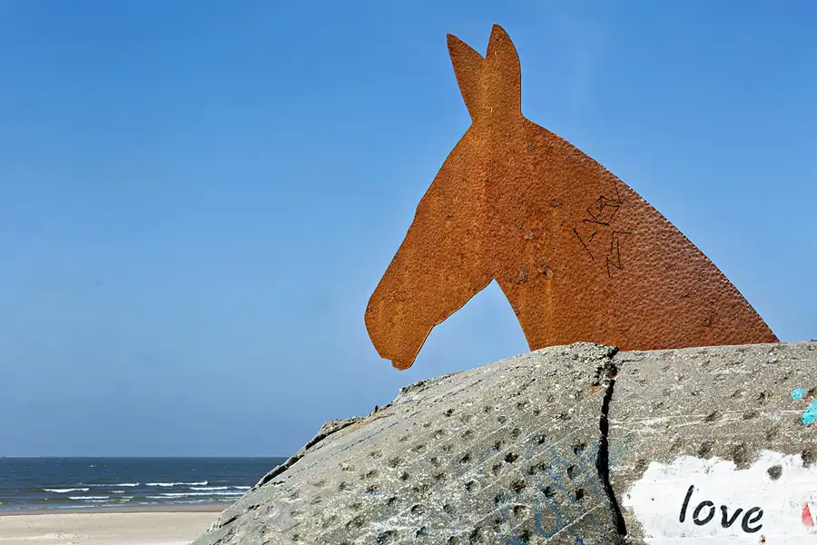 003 | 2025 | Blavand | Muldyr Bunkerne | © carsten riede fotografie