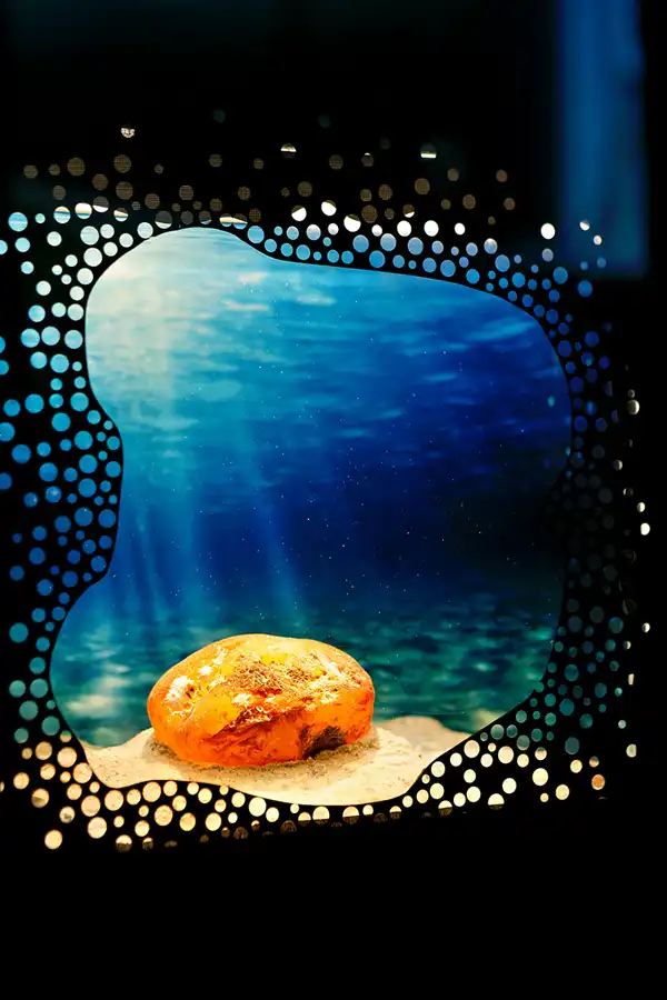 035 | 2025 | Blavand | Tirpitz-Stellung | © carsten riede fotografie