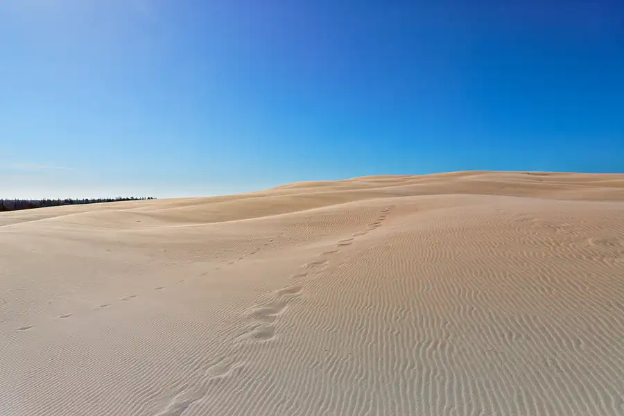 001 | 2025 | Bunken | Rabjerg Mile | © carsten riede fotografie
