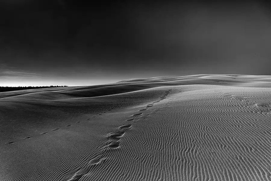 002 | 2025 | Bunken | Rabjerg Mile | © carsten riede fotografie