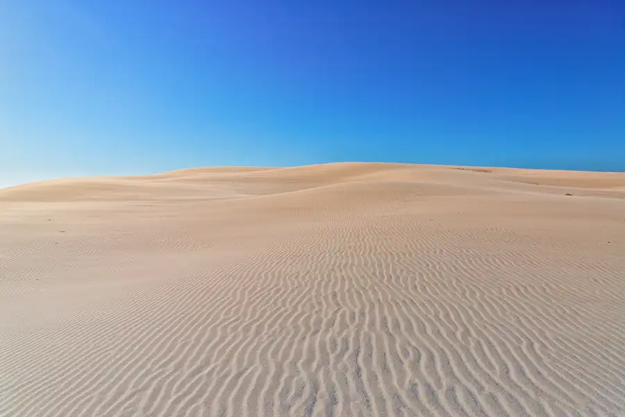 003 | 2025 | Bunken | Rabjerg Mile | © carsten riede fotografie