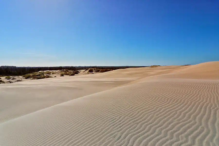 005 | 2025 | Bunken | Rabjerg Mile | © carsten riede fotografie