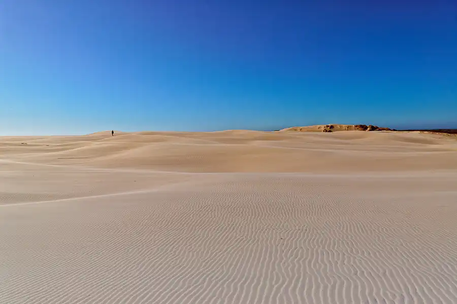 011 | 2025 | Bunken | Rabjerg Mile | © carsten riede fotografie