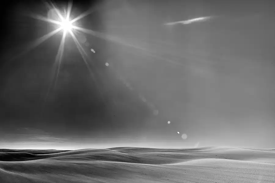 014 | 2025 | Bunken | Rabjerg Mile | © carsten riede fotografie