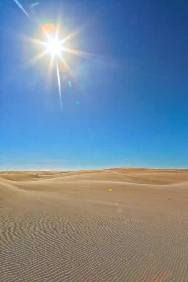 015 | 2025 | Bunken | Rabjerg Mile | © carsten riede fotografie