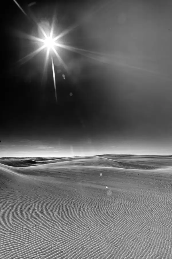 016 | 2025 | Bunken | Rabjerg Mile | © carsten riede fotografie