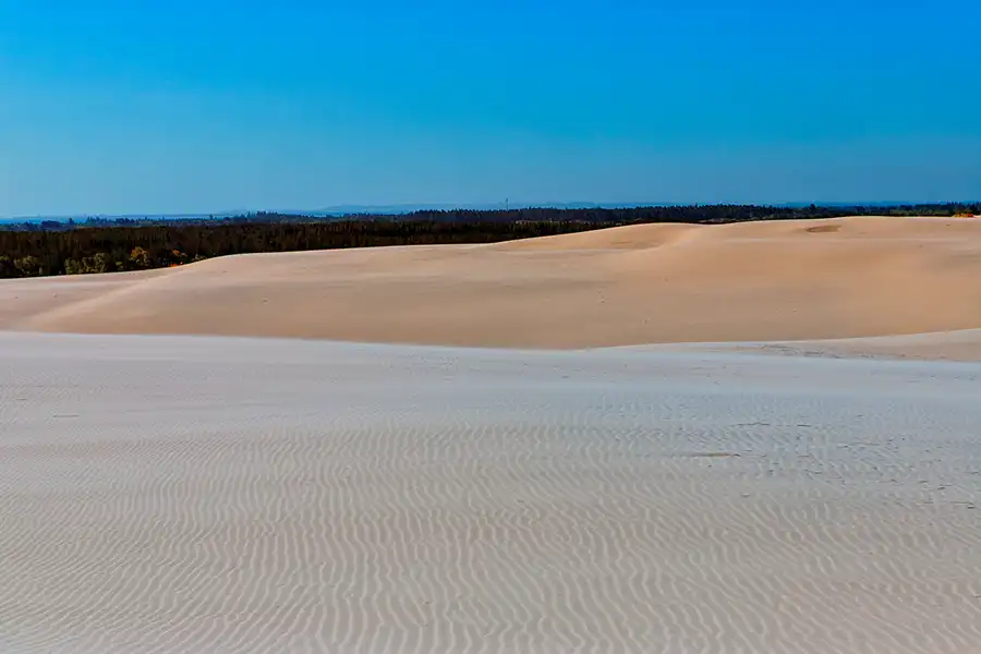 017 | 2025 | Bunken | Rabjerg Mile | © carsten riede fotografie
