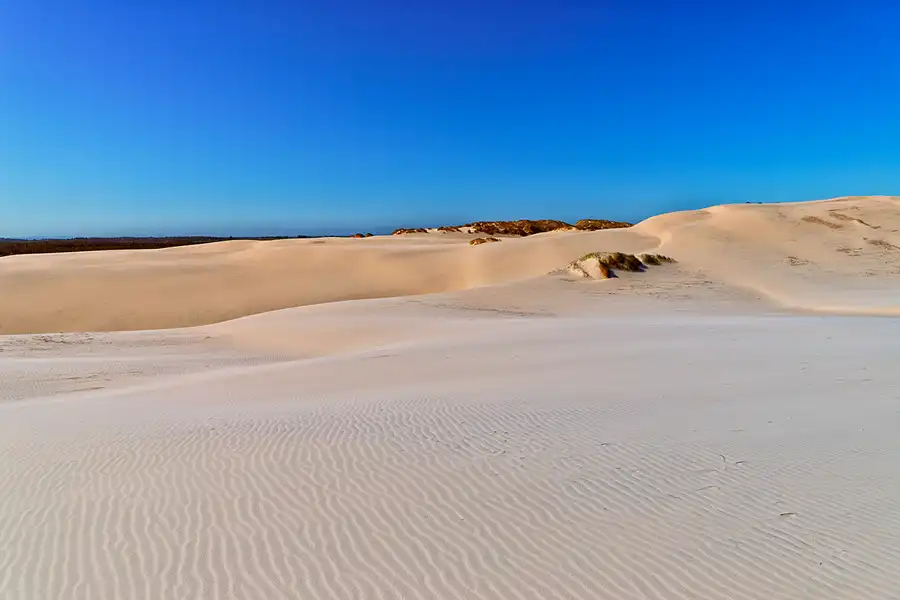 019 | 2025 | Bunken | Rabjerg Mile | © carsten riede fotografie