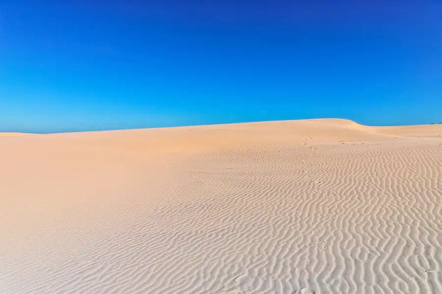 021 | 2025 | Bunken | Rabjerg Mile | © carsten riede fotografie