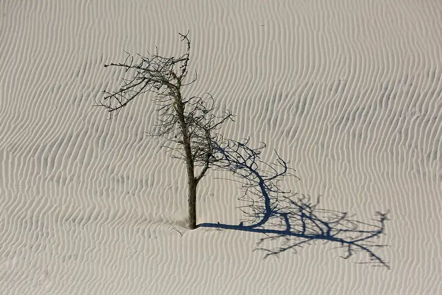 023 | 2025 | Bunken | Rabjerg Mile | © carsten riede fotografie