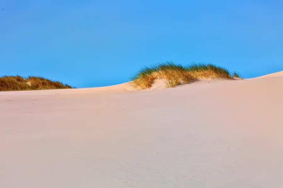 025 | 2025 | Bunken | Rabjerg Mile | © carsten riede fotografie